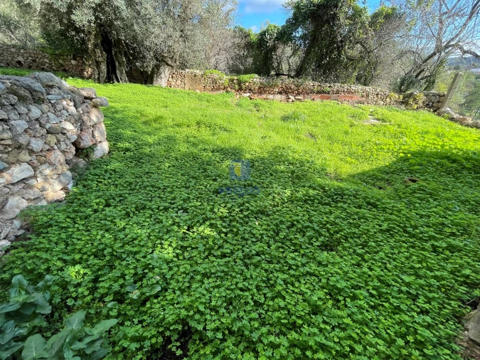 Moradia T4 para Venda em Loule (São Clemente) Foto 24