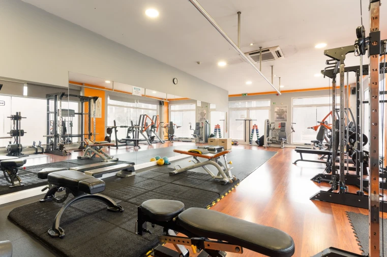 Negócio para Venda em Lumiar Foto 9