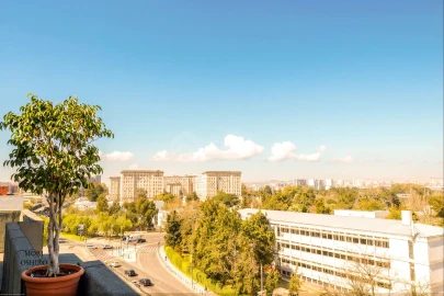 Apartamento T3 para Venda em Alvalade