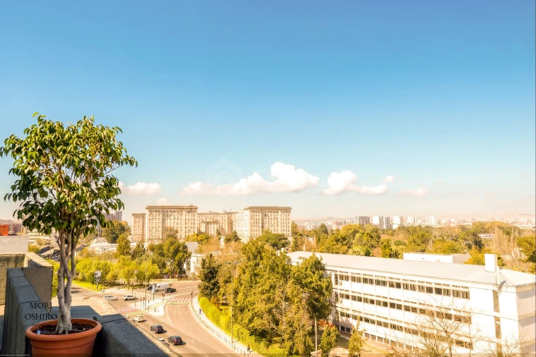 Apartamento T3 para Venda em Alvalade Foto 29