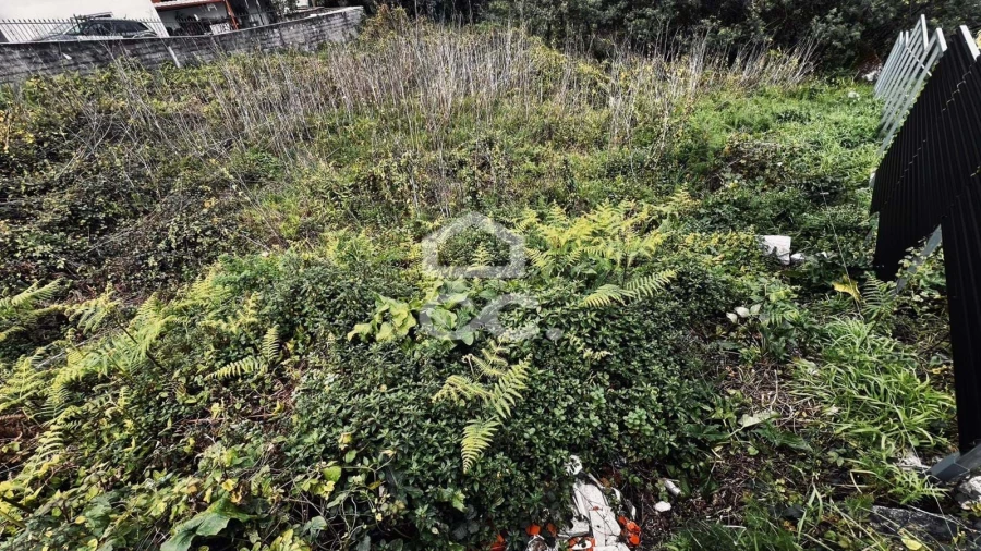 Terreno para Venda em Darque Foto 1