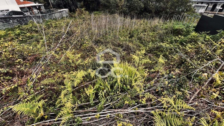 Terreno para Venda em Darque Foto 2