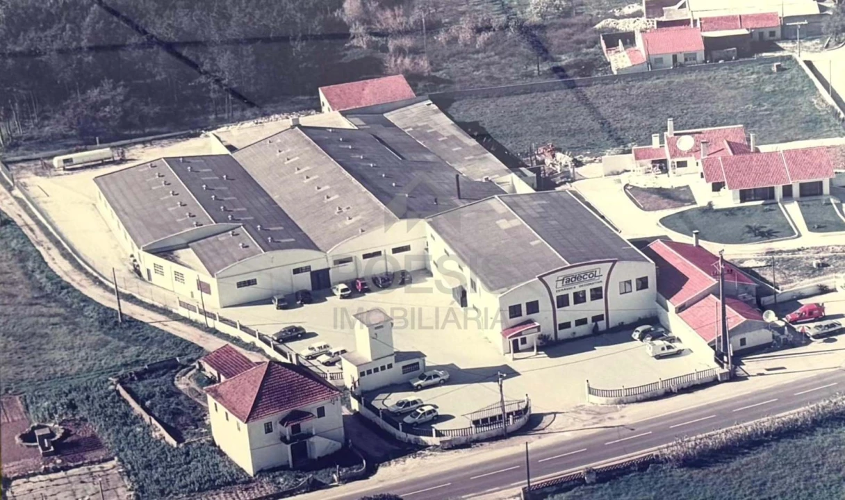 Negócio para Venda em Aljubarrota Foto 1