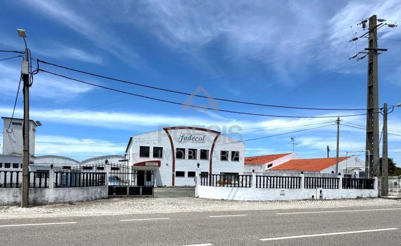 Negócio para Venda em Aljubarrota Foto 3