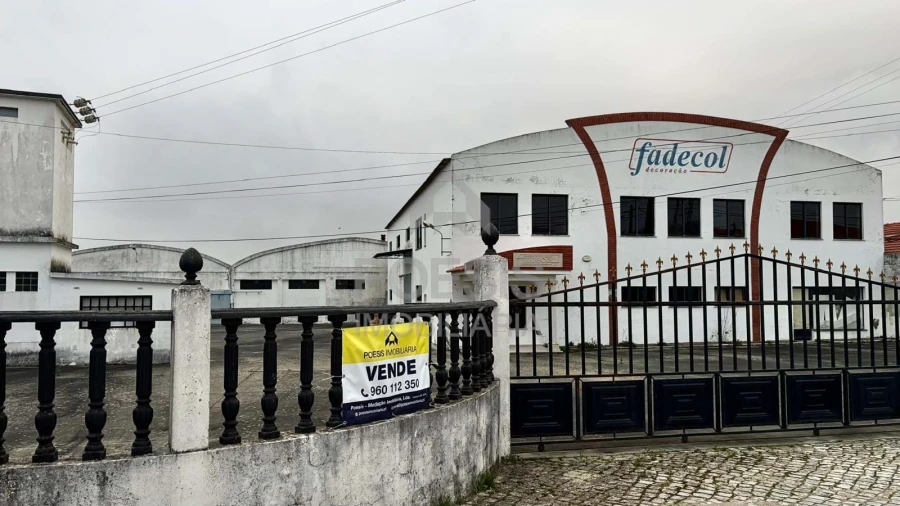 Negócio para Venda em Aljubarrota Foto 4