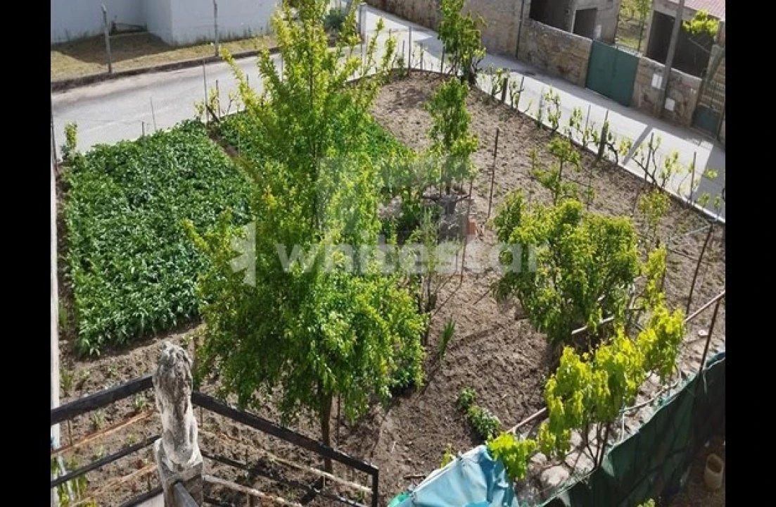 Moradia T2 para Venda em Pega Foto 6