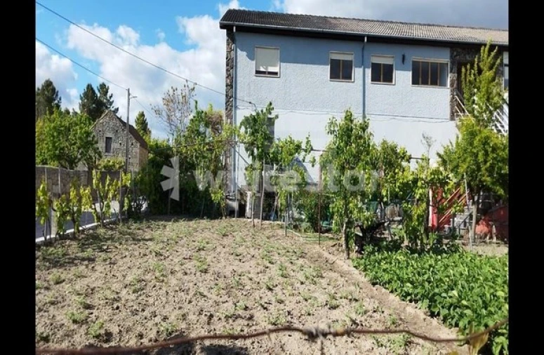 Moradia T2 para Venda em Pega Foto 5