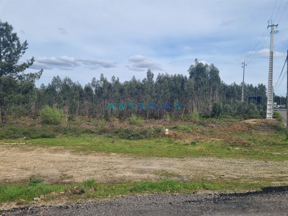 Terreno para Venda em Marinha Grande Foto 7
