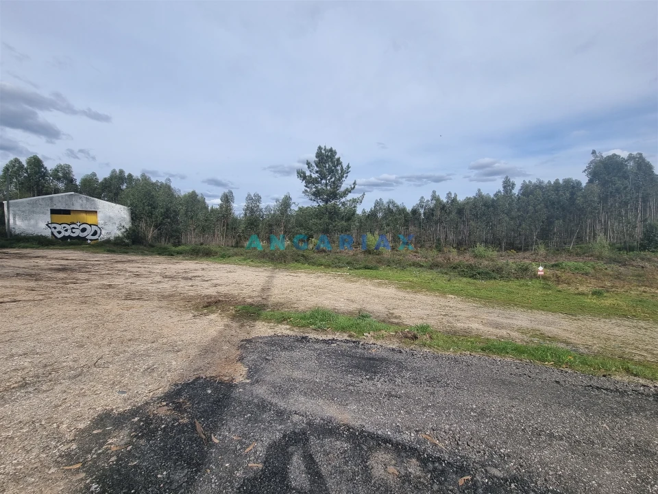 Terreno para Venda em Marinha Grande Foto 8