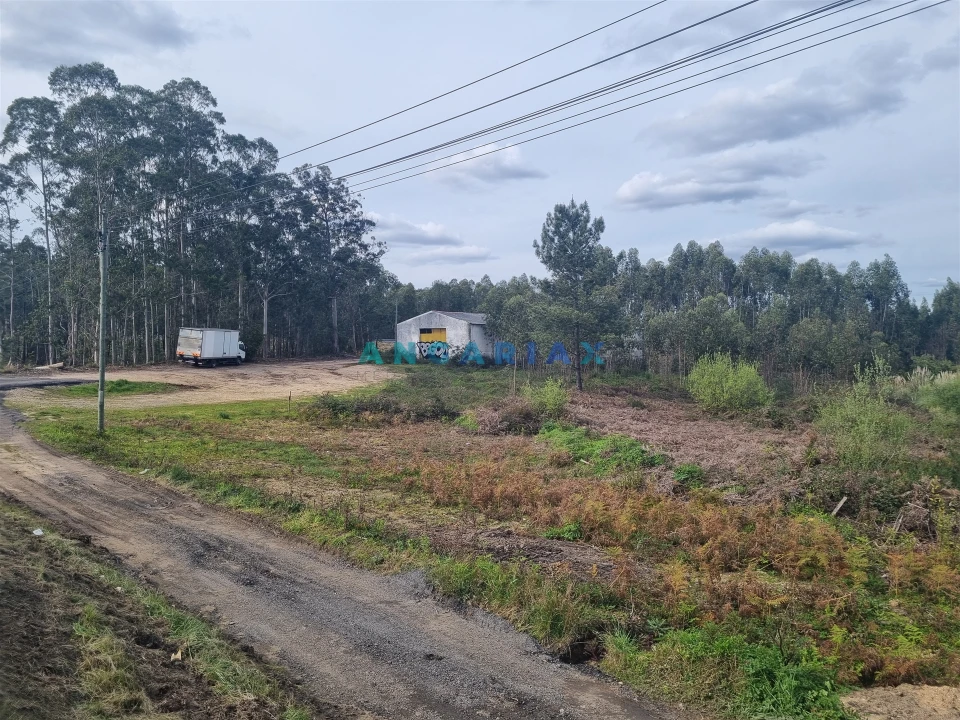 Terreno para Venda em Marinha Grande Foto 2