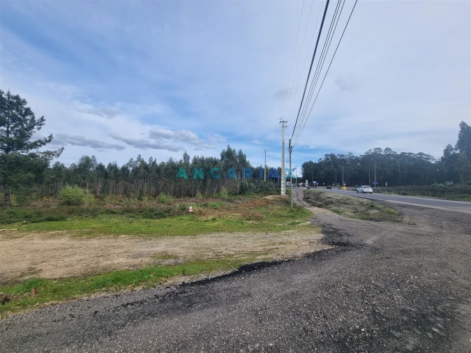 Terreno para Venda em Marinha Grande Foto 9