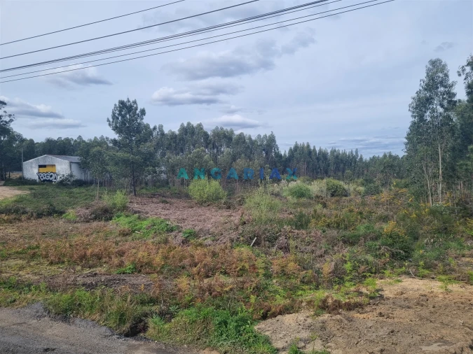 Terreno para Venda em Marinha Grande Foto 10