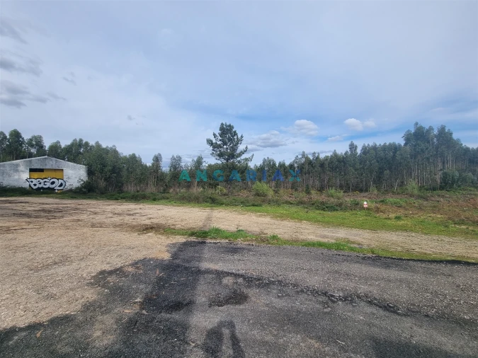 Terreno para Venda em Marinha Grande Foto 12