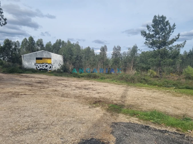 Terreno para Venda em Marinha Grande Foto 5