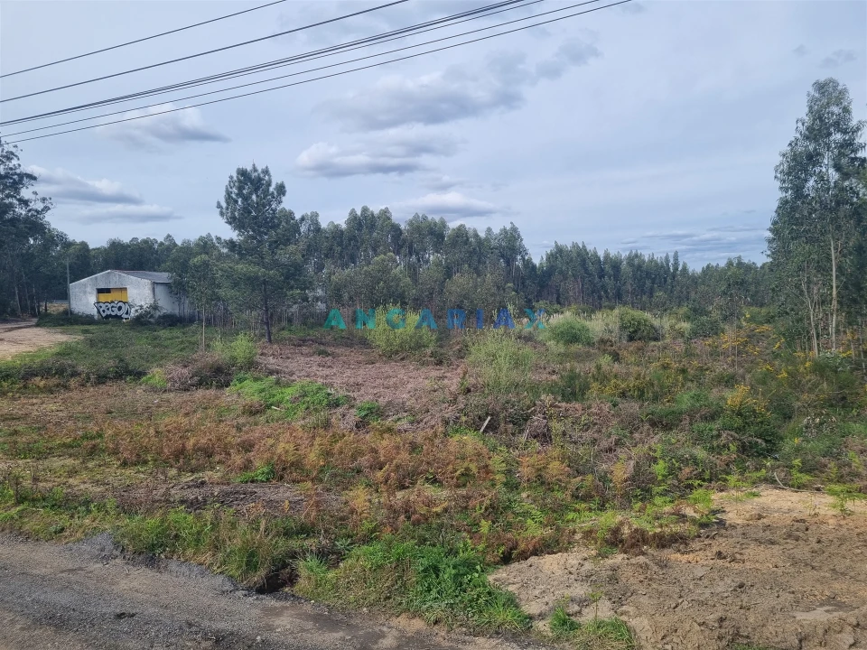 Terreno para Venda em Marinha Grande Foto 11