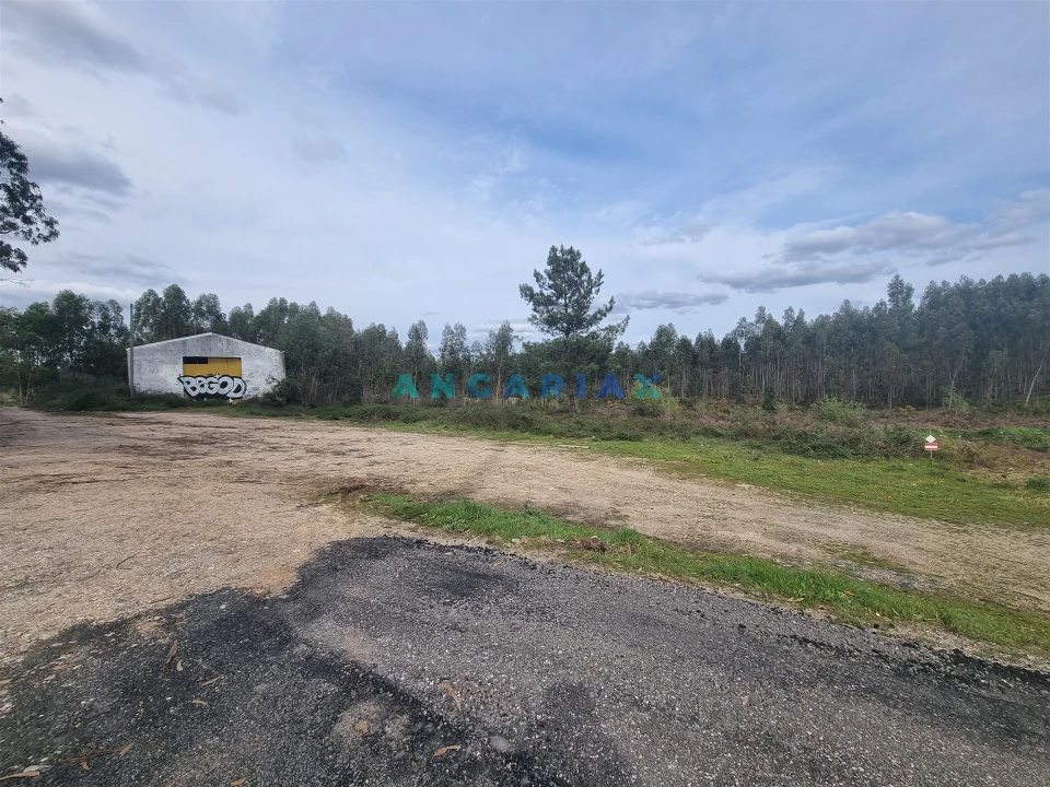 Terreno para Venda em Marinha Grande Foto 6