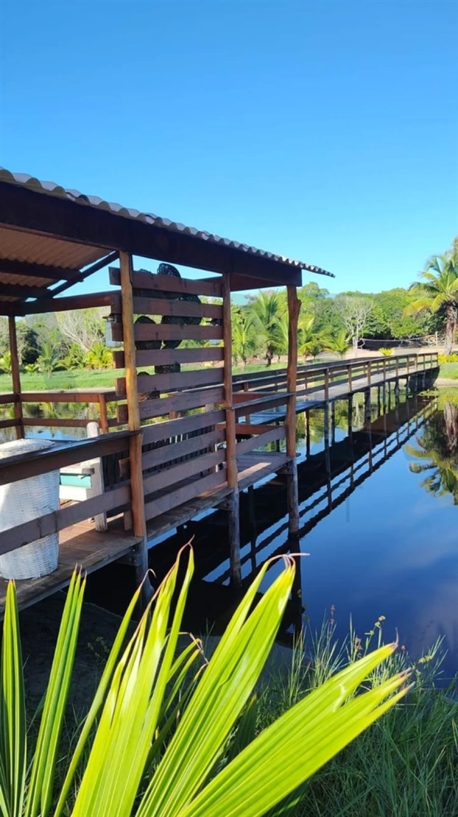 Moradia T0 para Venda em Alcobaça e Vestiaria Foto 9