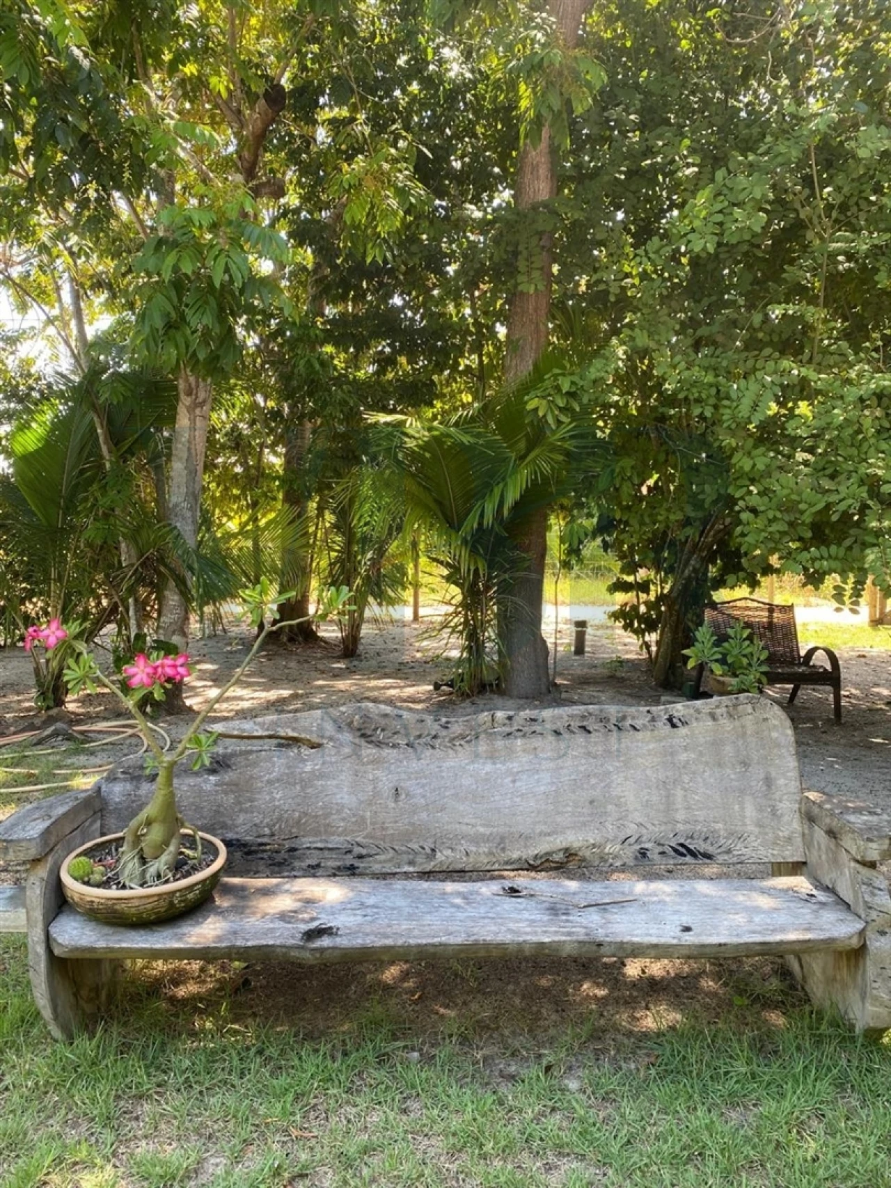 Moradia T0 para Venda em Alcobaça e Vestiaria Foto 26