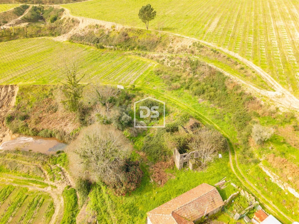 Moradia T0 para Venda em Castelões Foto 10