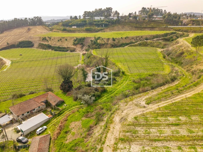 Moradia T0 para Venda em Castelões Foto 8