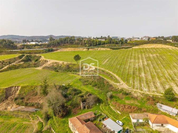 Moradia T0 para Venda em Castelões Foto 4