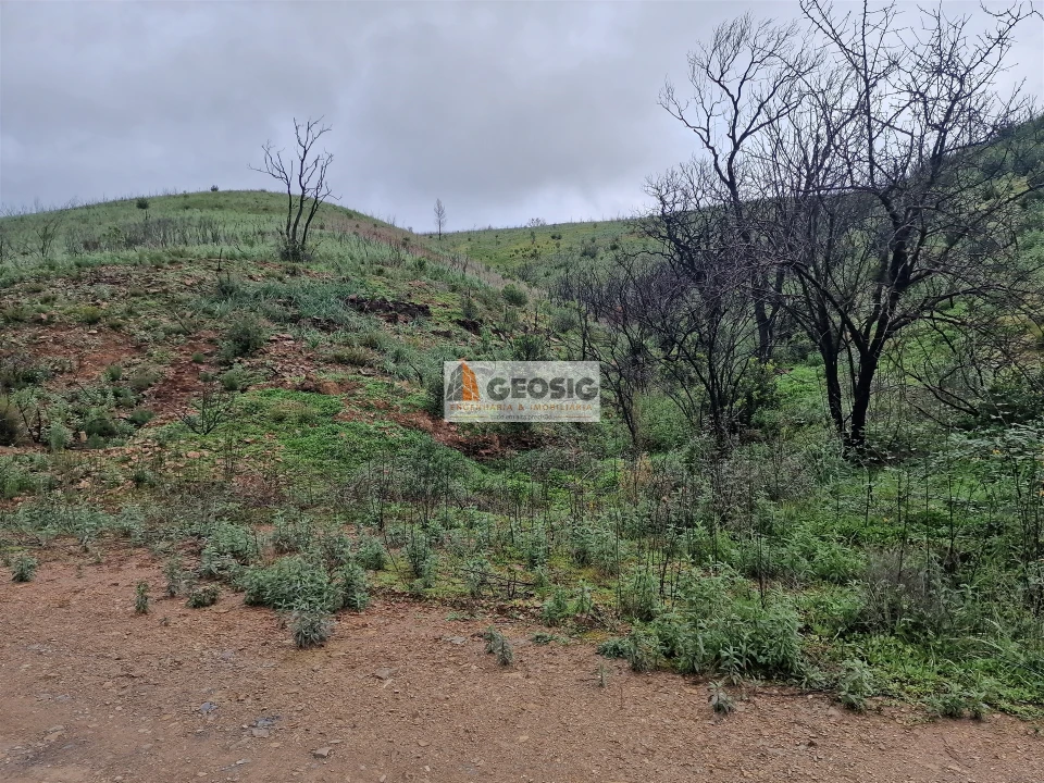 Terreno Agricola ou Rústico para Venda em São Marcos da Serra Foto 2
