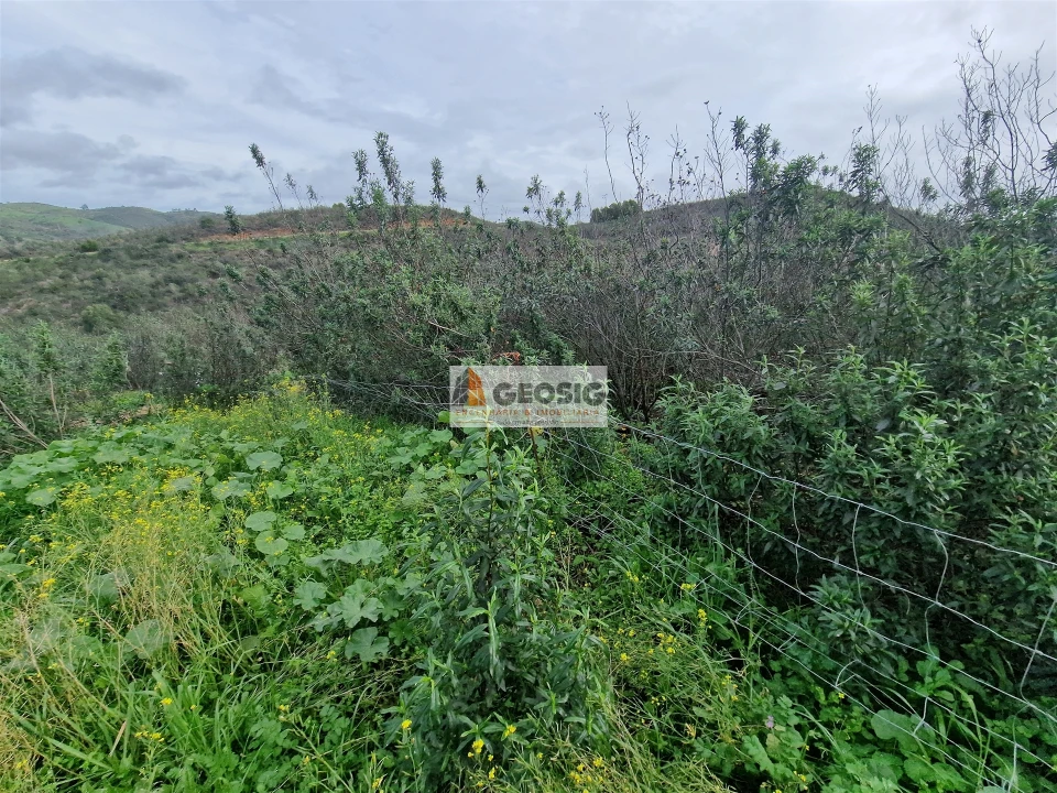 Terreno Agricola ou Rústico para Venda em São Marcos da Serra Foto 5