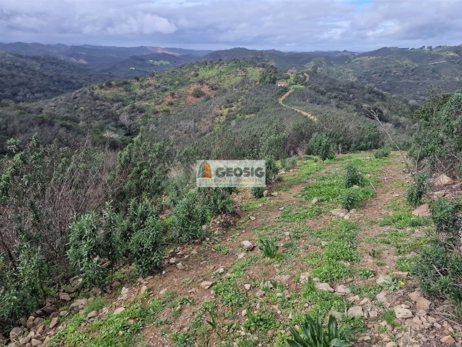 Terreno Agricola ou Rústico para Venda em São Marcos da Serra Foto 3