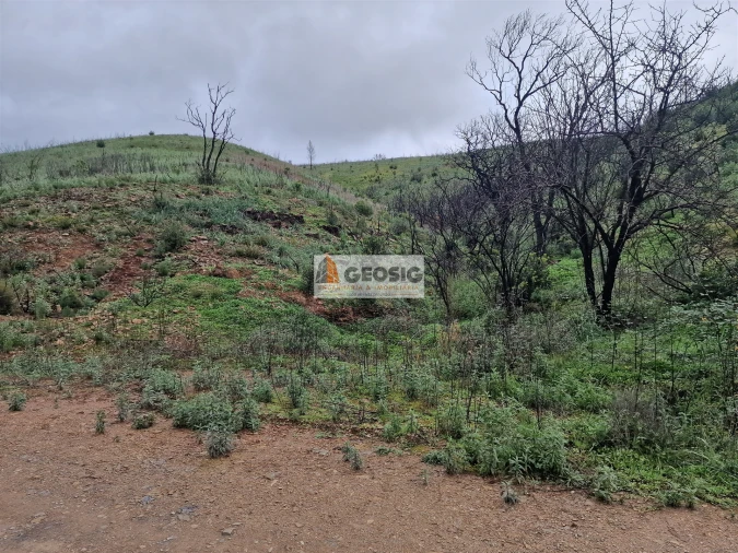 Terreno Agricola ou Rústico para Venda em São Marcos da Serra Foto 2
