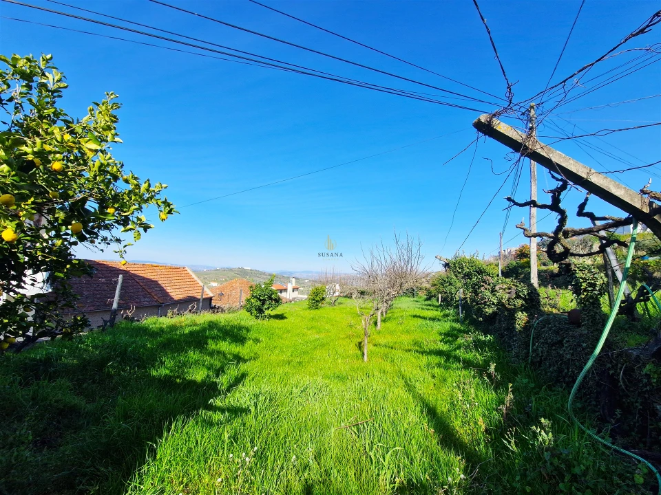 Moradia T5 para Venda em Barcos e Santa Leocádia Foto 35