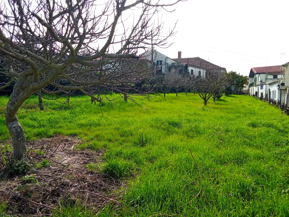 Moradia T5 para Venda em Barcos e Santa Leocádia Foto 15