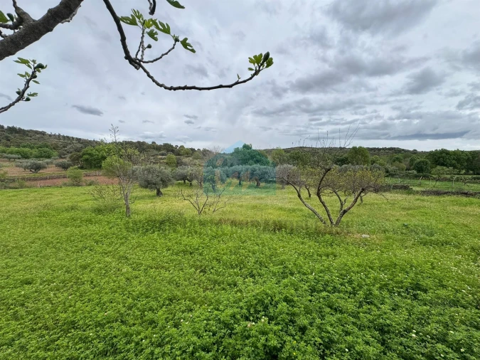 Moradia T4 para Venda em Abambres Foto 7