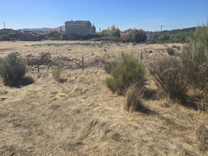 Terreno para Venda em Tavares (Chãs, Várzea e Travanca)