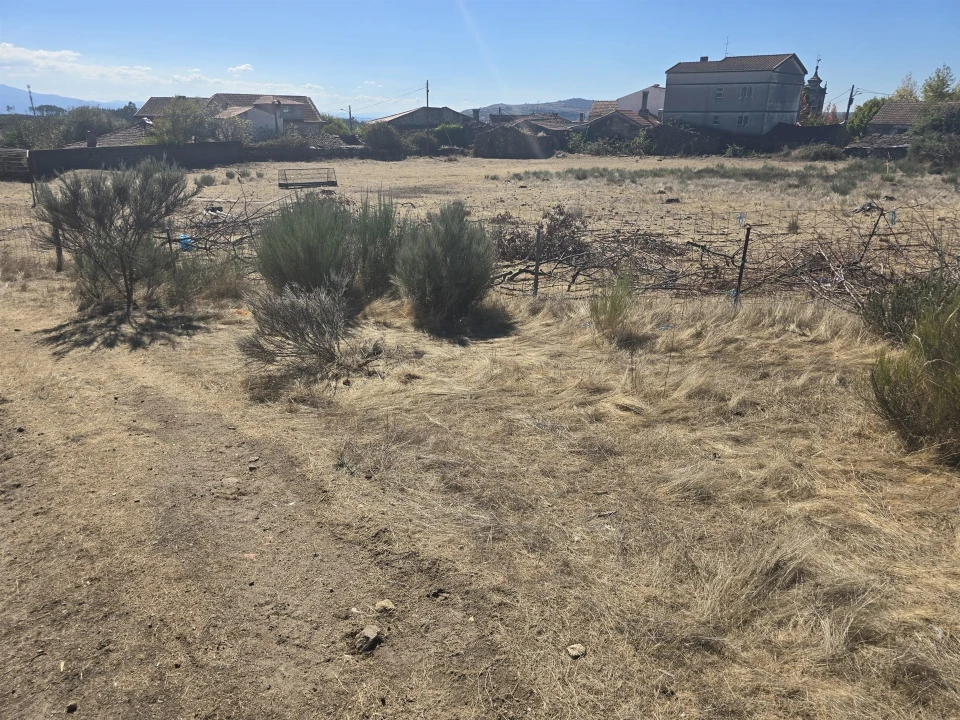 Terreno para Venda em Tavares (Chãs, Várzea e Travanca) Foto 3