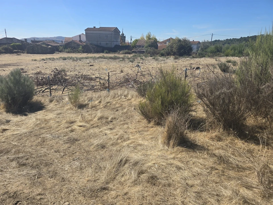 Terreno para Venda em Tavares (Chãs, Várzea e Travanca) Foto 1