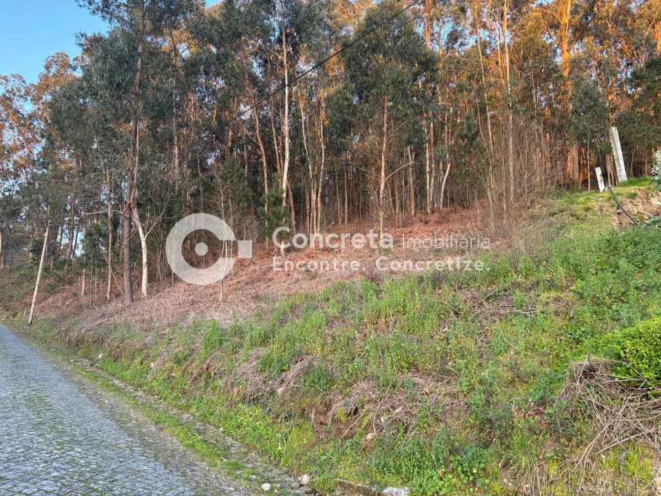 Terreno para Venda em Moure Foto 3