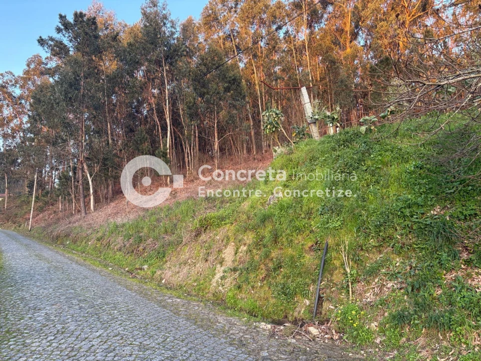 Terreno para Venda em Moure Foto 1