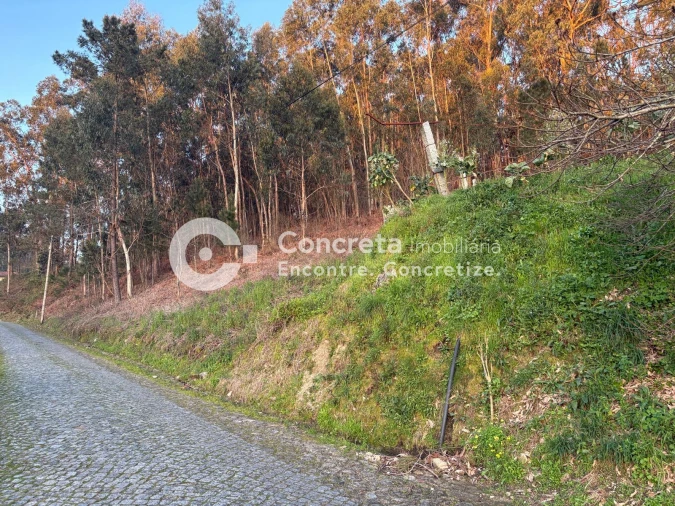 Terreno para Venda em Moure Foto 1