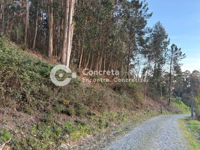 Terreno para Venda em Moure Foto 6