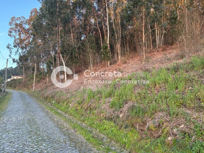 Terreno para Venda em Moure Foto 4