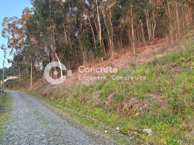 Terreno para Venda em Moure Foto 2