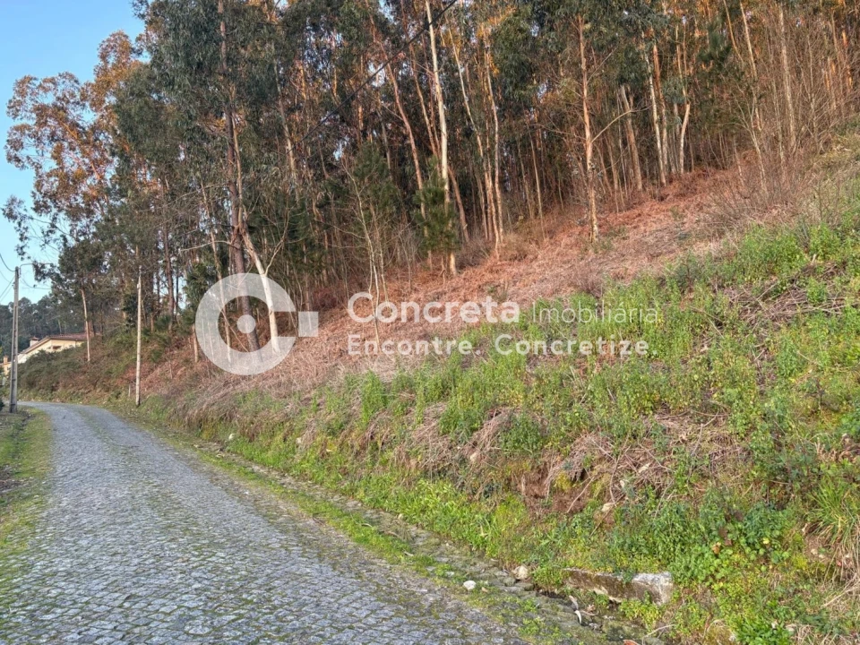 Terreno para Venda em Moure Foto 2