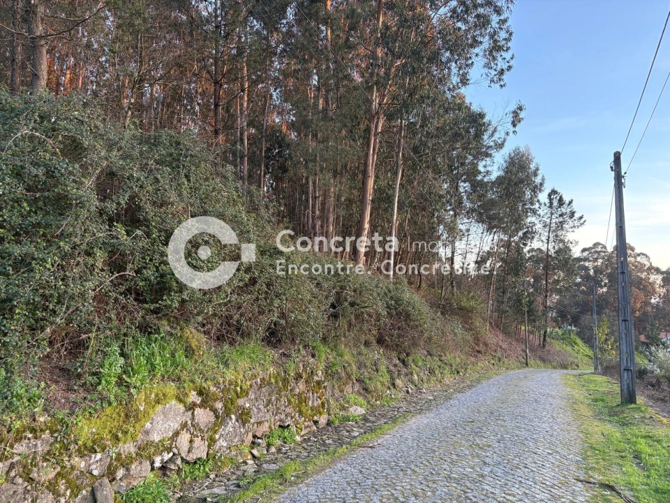 Terreno para Venda em Moure Foto 5