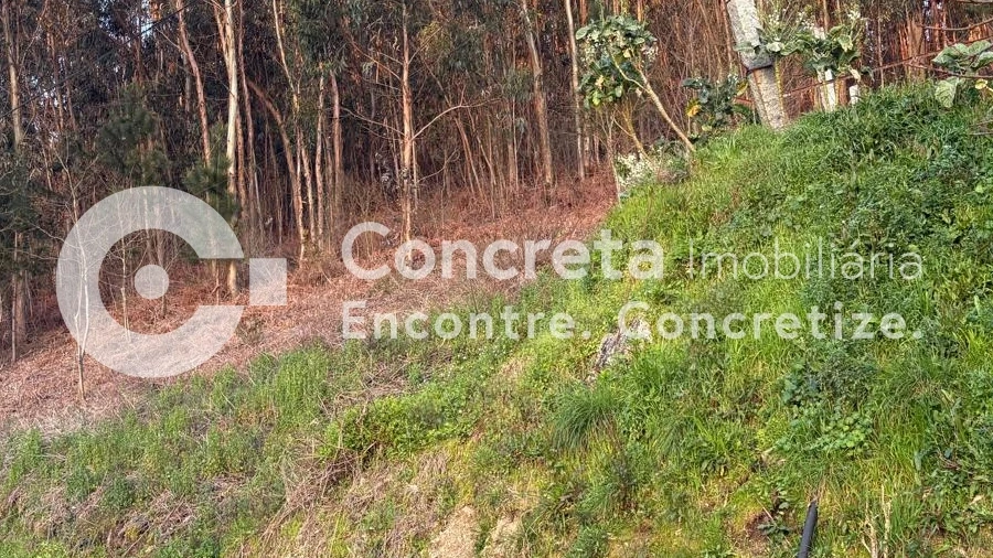 Terreno para Venda em Moure