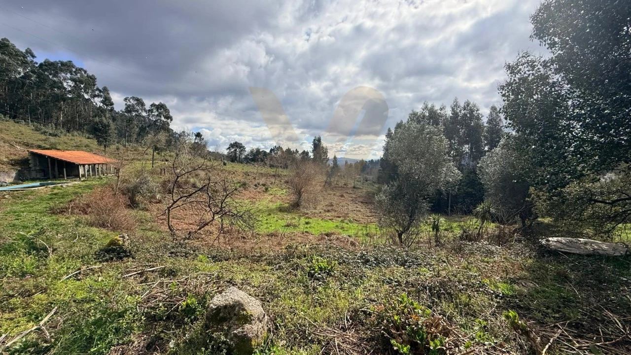 Quinta T3 para Venda em Anais Foto 9