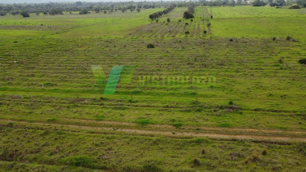 Terreno Agricola ou Rústico para Venda em Paderne Foto 3