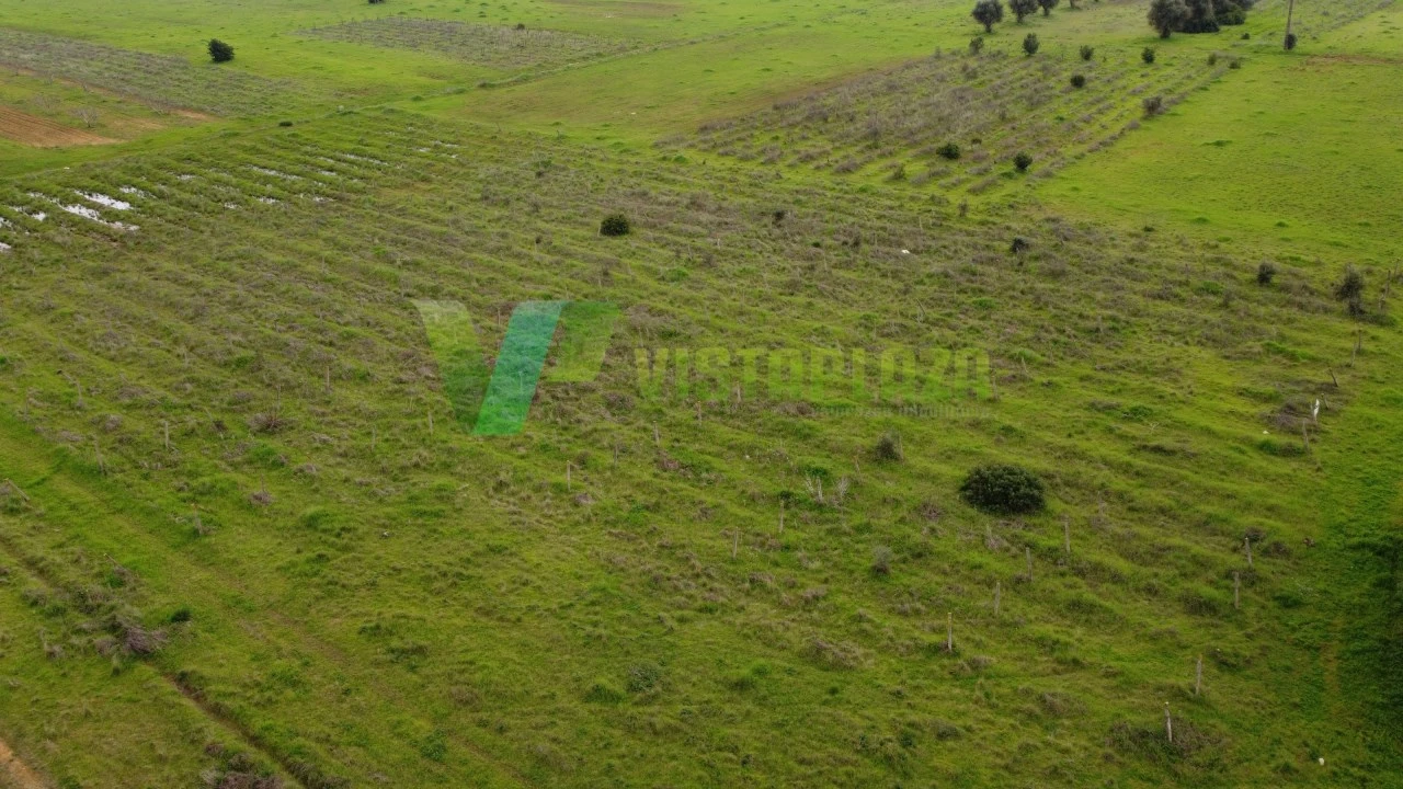 Terreno Agricola ou Rústico para Venda em Paderne Foto 10