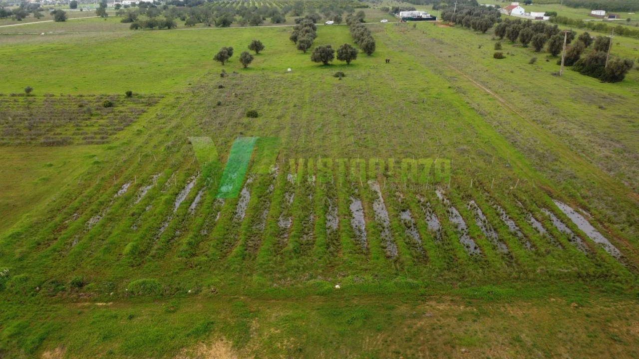 Terreno Agricola ou Rústico para Venda em Paderne Foto 14