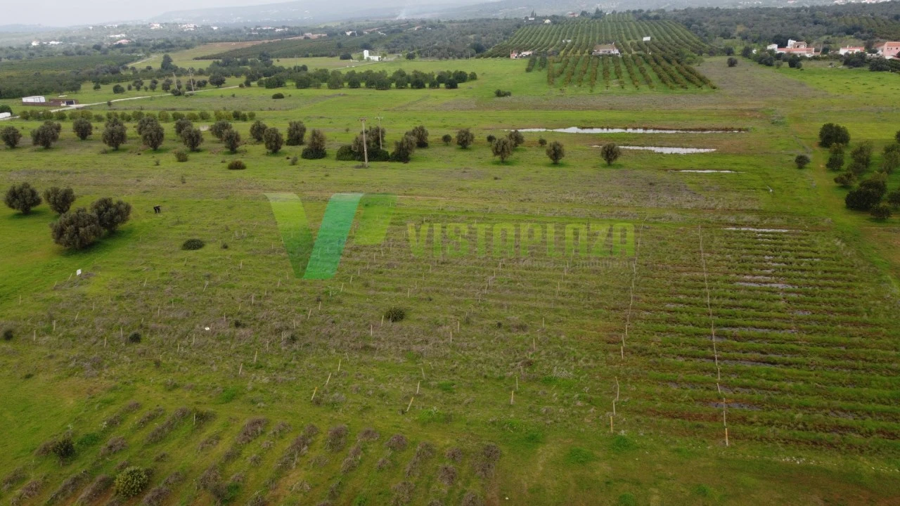 Terreno Agricola ou Rústico para Venda em Paderne Foto 16