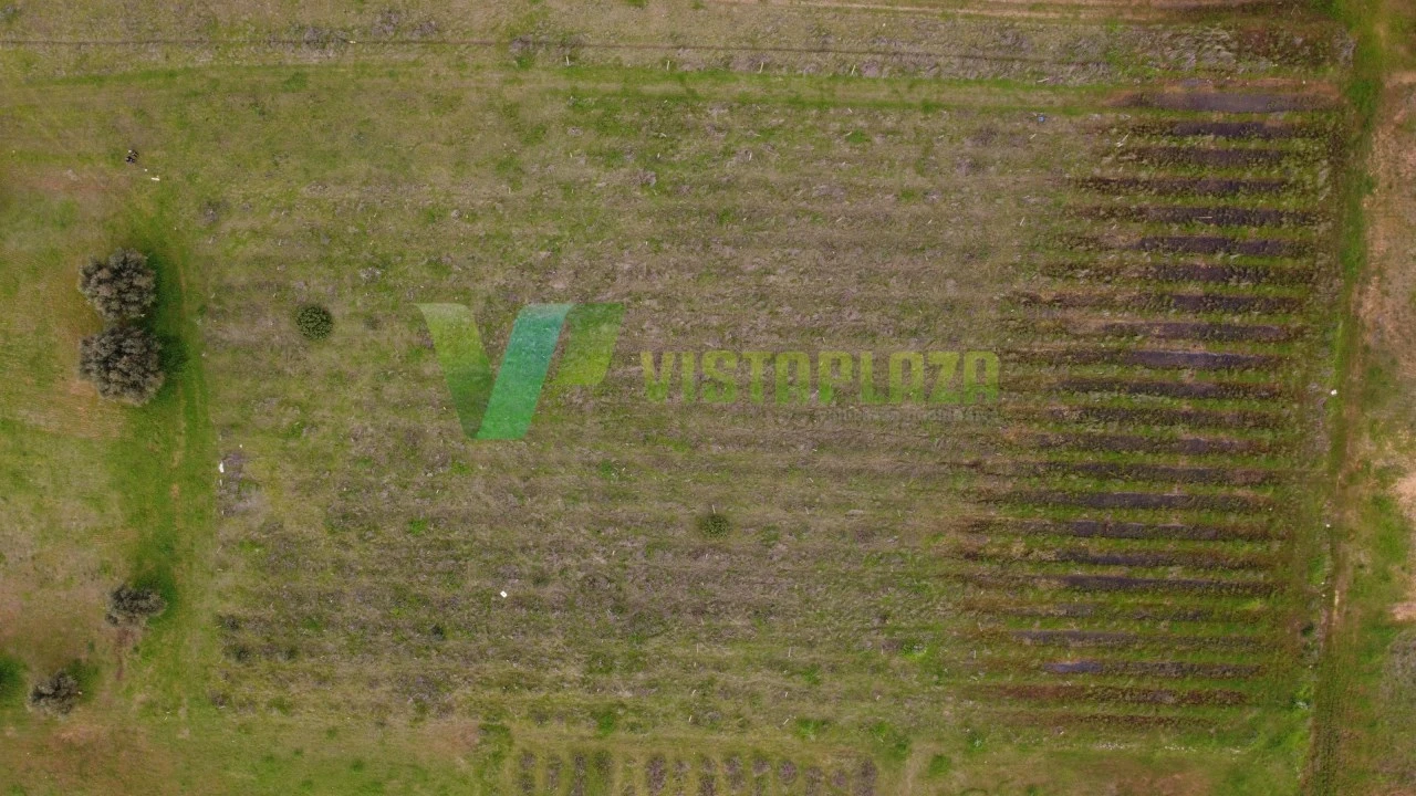 Terreno Agricola ou Rústico para Venda em Paderne Foto 17